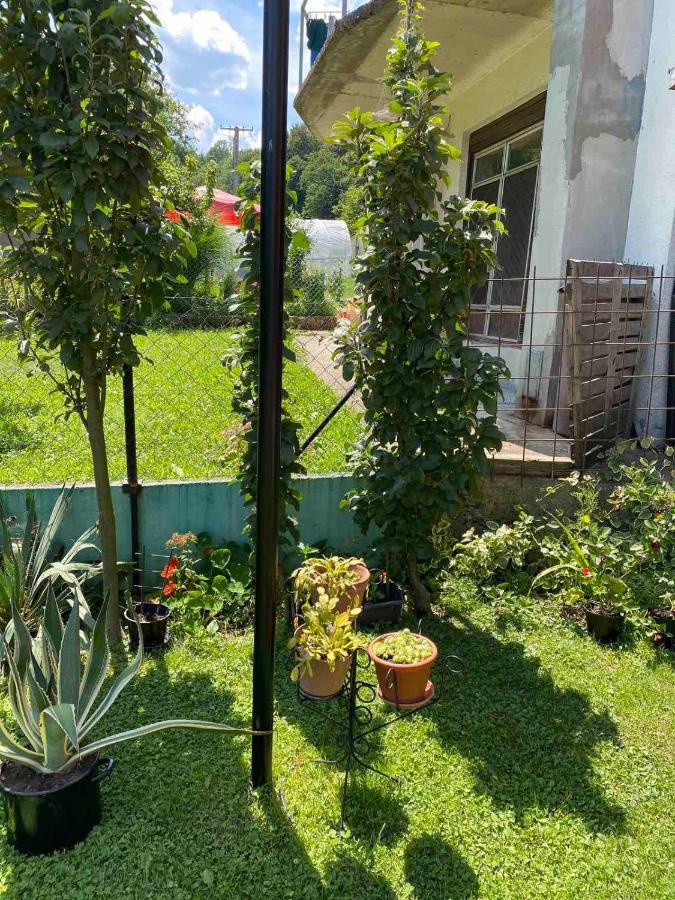 Joca Apartamento Bajina Basta Exterior foto