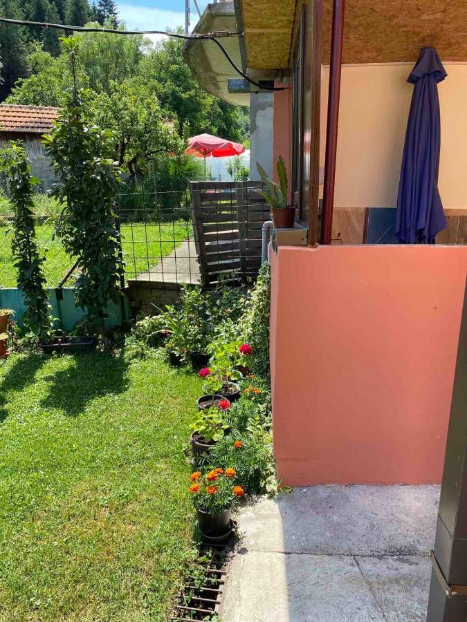 Joca Apartamento Bajina Basta Exterior foto