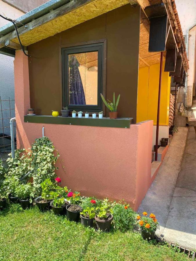 Joca Apartamento Bajina Basta Exterior foto