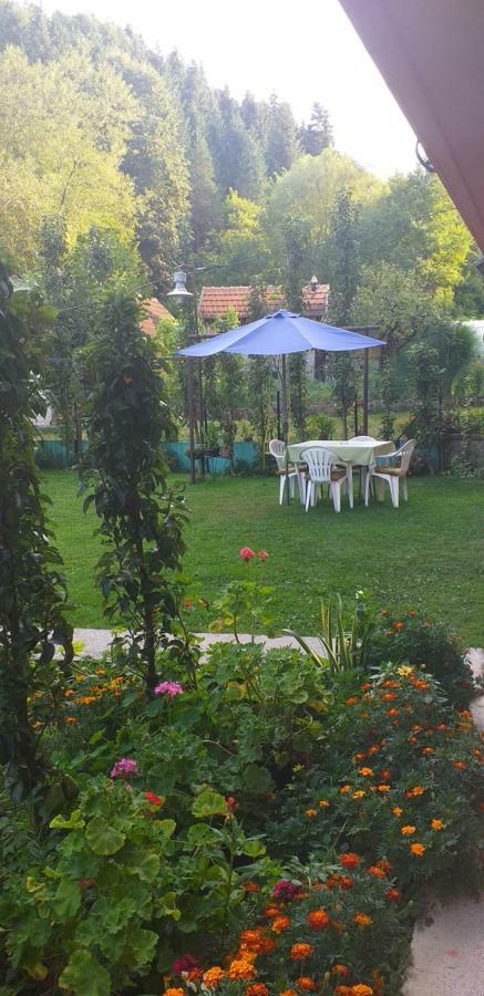 Joca Apartamento Bajina Basta Exterior foto